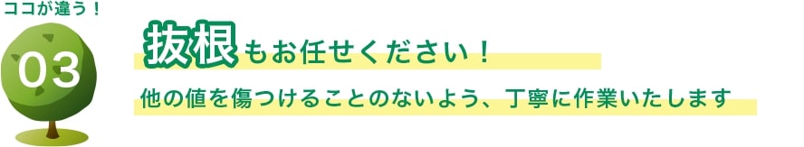 抜根もお任せください！ 他の値を傷つけることのないよう、丁寧に作業いたします